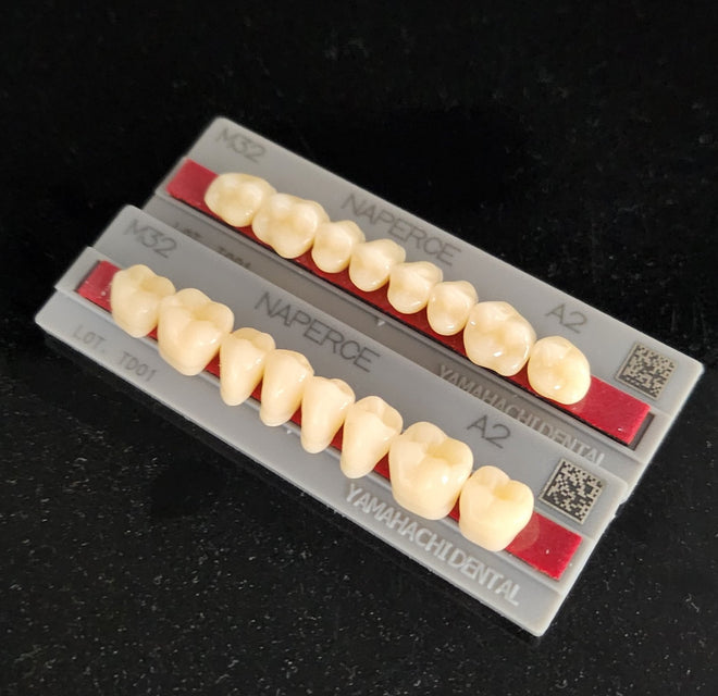 Yamahachi Acrylic Resin Teeth, Posterior 30 Degrees B1 to B4 (per card)