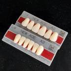 Yamahachi Acrylic Resin Teeth(Shades:C1-C4)