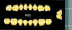 Yamahachi Acrylic Resin Teeth, Posterior 30 Degrees D2-D3 (per card)
