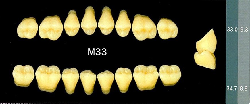 Yamahachi Acrylic Resin Teeth, Posterior 30 Degrees B1 to B4 (per card)