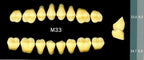Yamahachi Acrylic Resin Teeth, Posterior 30 Degrees D2-D3 (per card)