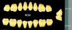 Yamahachi Acrylic Resin Teeth, Posterior 30 Degrees C1 to C4 (per card)