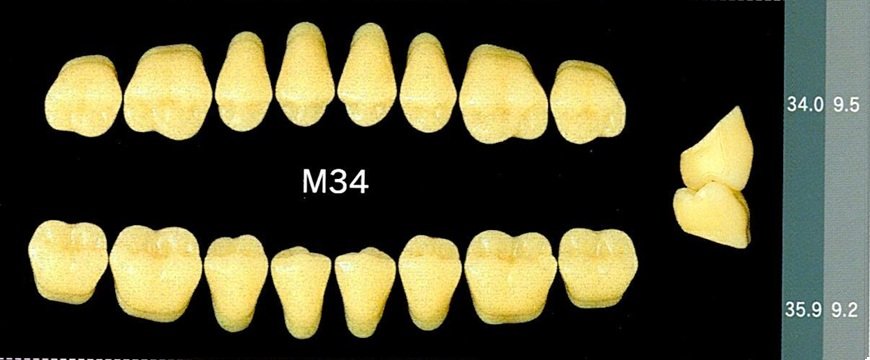 Yamahachi Acrylic Resin Teeth, Posterior 30 Degrees C1 to C4 (per card)