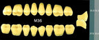 Yamahachi Acrylic Resin Teeth, Posterior 30 Degrees D2-D3 (per card)