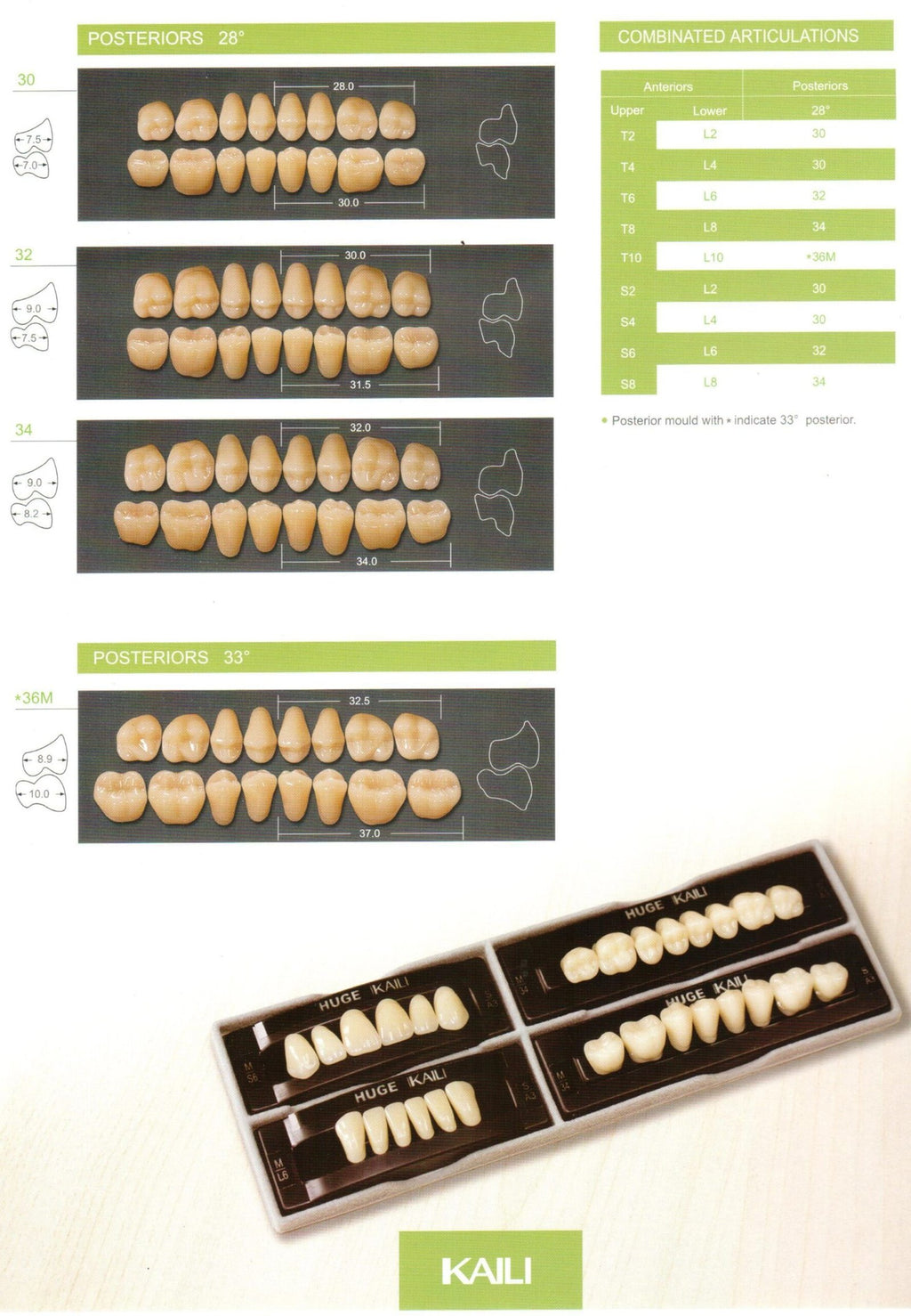 Kaili Synthetic Polymer Teeth HUGE Dental, Posterior  (per card)