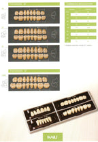 Kaili Synthetic Polymer Teeth HUGE Dental, Anterior, Shade(D2-D4)  (per card)