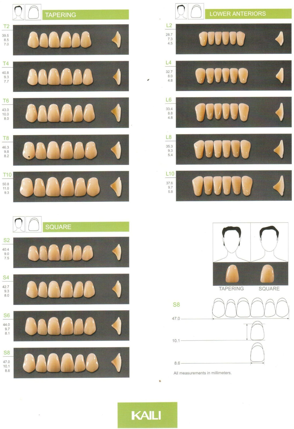 Kaili Synthetic Polymer Teeth HUGE Dental, Anterior (per card)