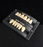 Kaili Synthetic Polymer Teeth HUGE Dental, Anterior (per card)