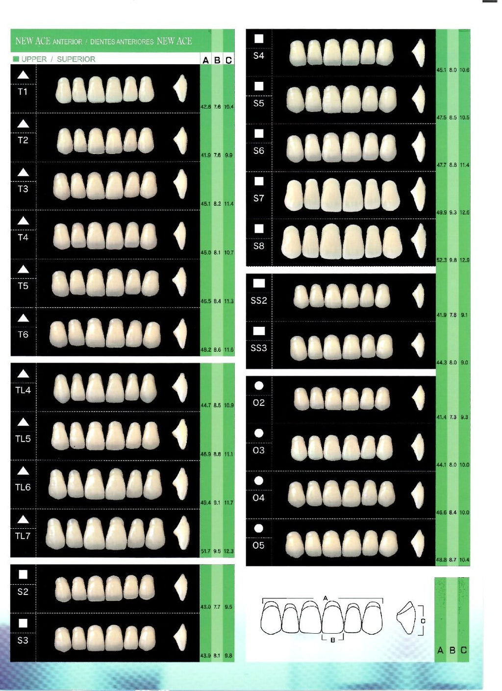 Yamahachi Acrylic Resin Teeth Shade W05 Bleach (Per Card)