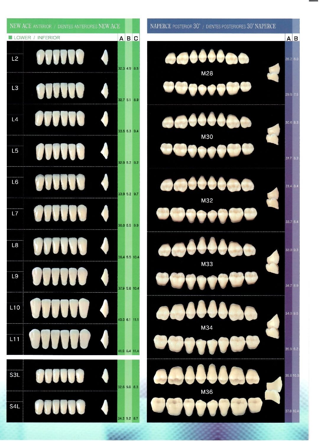 Yamahachi Acrylic Resin Teeth(Shades:A1-A4)