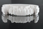 Zirconia Z 3D pro