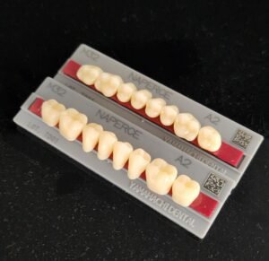 Yamahachi Acrylic Resin Teeth, Posterior 30 Degrees A1 to A4 (per card)