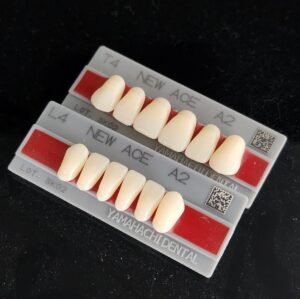 Yamahachi Acrylic Resin Teeth Shade W05 Bleach (Per Card)