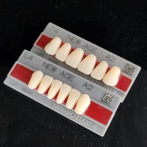 Yamahachi Acrylic Resin Teeth Shade W05 Bleach (Per Card)
