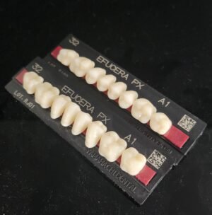 Yamahachi Composite Resin Teeth Posterior (Shades:C1-C4)