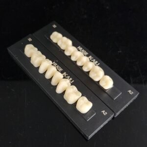 Kaili Synthetic Polymer Teeth HUGE Dental, Posterior  (per card)