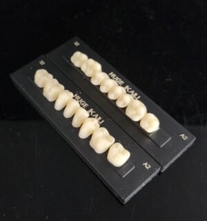 Kaili Synthetic Polymer Teeth HUGE Dental, Posterior  (per card)