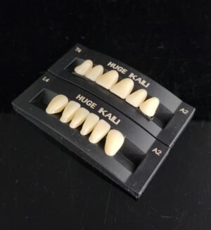 Kaili Synthetic Polymer Teeth HUGE Dental, Anterior (per card)